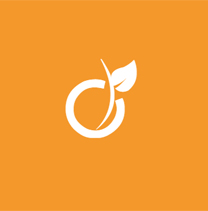 Suivez nous sur Viadeo Suivez nous sur Viadeo
